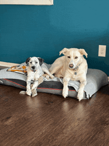 a dalmatian and a yellow lab laying on a dog bed with an eagle on it