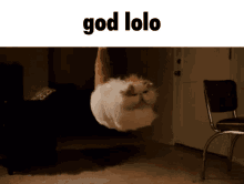 God God Lolo GIF - God God Lolo Lolo GIFs