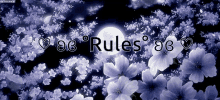 Gifs Rules GIF - Gifs Rules GIFs