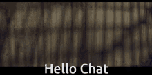 Zajcu37 Hello Chat GIF - Zajcu37 Hello Chat GIFs