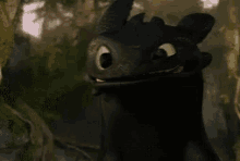 toothless dragon httyd