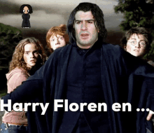 Harry Floren GIF - Harry Floren Sebebe GIFs