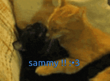 Modaverse Simon GIF - Modaverse Simon Sammy GIFs