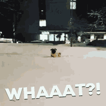 What The GIF - What The Happened GIFs