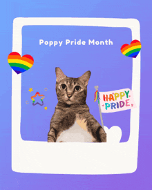 a picture of a cat with the words poppy pride month on it