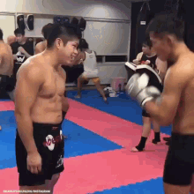 Tank Fighter GIF - Tank Fighter Mma GIFs