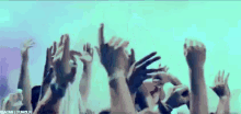 GIF