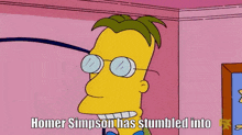 The Simpsons Homer Simpson Has Stumbled Into The Third Dimension GIF - The Simpsons Homer Simpson Has Stumbled Into The Third Dimension Professor Frink GIFs