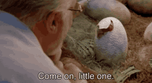 Jurassic Park Come On Little One GIF - Jurassic Park Come On Little One Baby Dino GIFs