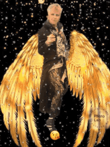 hug wings snow gold kiss
