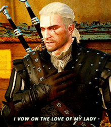 witcher videogame