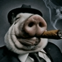 свинья с сигаретой GIF - свинья с сигаретой GIFs