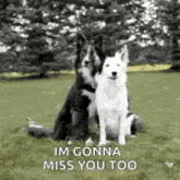 Youre So Sweet Miss You Too GIF - Youre So Sweet Miss You Too Miss You GIFs