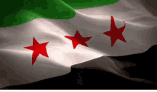 syria freedom revolution freiheit flag