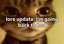 a cat with the words lore update i 'm going back to bed