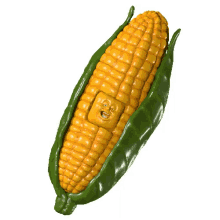 crop corn