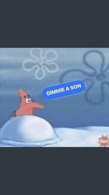 patrick star from spongebob squarepants says gimmie a son on a text message