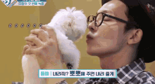 Dog Donghae GIF - Dog Donghae Suju GIFs