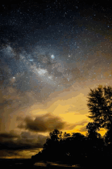 a night sky with trees in the foreground