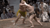 Thegoon Sumo GIF - Thegoon Sumo Sumo Wrestler GIFs