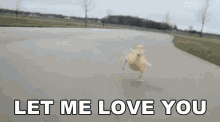 Let Me Love You! GIF - Duck Attack Let GIFs