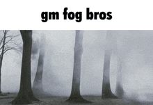 The Fog Discord Server Gm GIF - The Fog Discord Server The Fog Gm GIFs