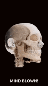 Skeleton Skeleton Laugh GIF - Skeleton Skeleton Laugh Laugh GIFs