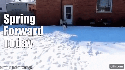 Spring Forward Spring Ahead GIF - Spring Forward Spring Ahead Daylight ...