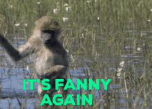 Fanny Again GIF - Fanny Again Me GIFs