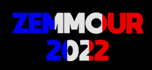 Zemmour 2022 GIF - Zemmour 2022 Président GIFs