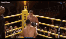anesongib tayler holder gib youtube boxing