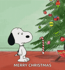Christmas Snoopy Merry Christmas GIF - Christmas Snoopy Merry Christmas Dance GIFs