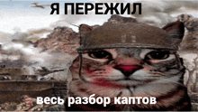 a cat wearing a military helmet with a foreign language caption