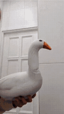 Goose Look At You GIF - Goose Look At You Suspicious GIFs