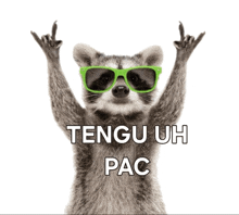 a raccoon wearing green sunglasses and giving the middle finger