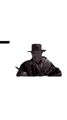 cowboy metaeditor