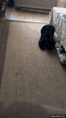 a black cat laying on a rug next to a bed with makeagif.com written on the bottom