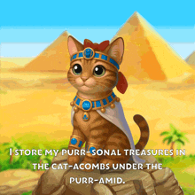 a cat wearing a pharaoh costume is sitting on a rock