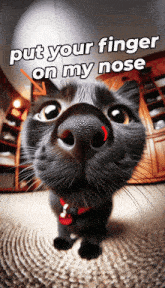 Put Your Finger On My Nose GIF - Put Your Finger On My Nose Cat GIFs