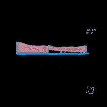 a computer generated image of a butterfly with spin 173 tilt 2