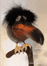 a stuffed bird with a large beak is sitting on a branch
