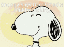 Snoopy Skander GIF
