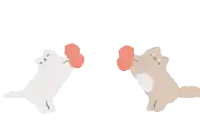 a white cat and a brown cat are playing with a red ball