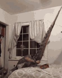Trapped In Hammock Cant Get Out GIF - Trapped In Hammock Cant Get Out Trapped GIFs
