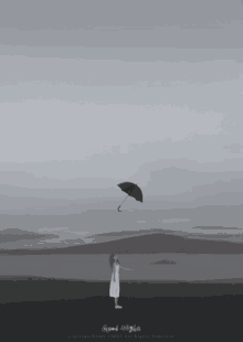 Umbrella Wind GIF - Umbrella Wind Wish GIFs