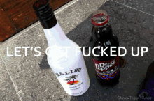 a bottle of malibu sits next to a bottle of dr. pepper