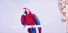 Ava Max Kings And Queens GIF - Ava Max Kings And Queens Bird Dancing GIFs