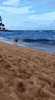 Surfing Fail Flip GIF