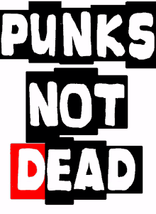 punks rocker ska punk punkrock