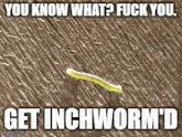 a picture of a caterpillar with the caption `` you know what ? fuck you get inchworm 'd ''